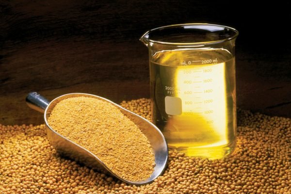soybean_oil_meal_beans_0